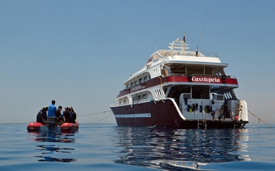 Safari Boat Egypt