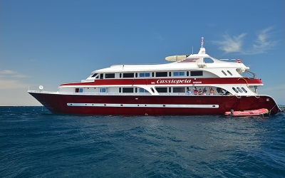 Best Cruise Red Sea