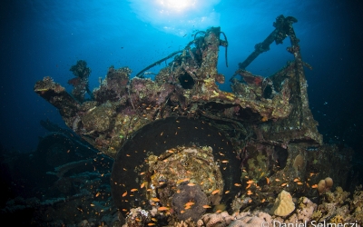Red Sea Wreck Toyota