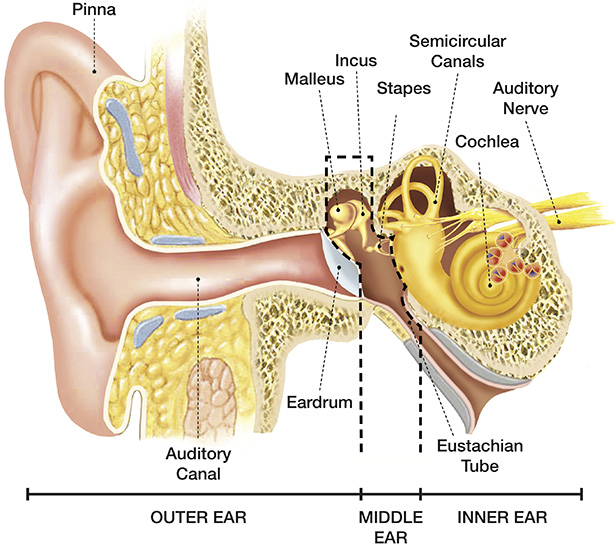 throat and inner ear itch