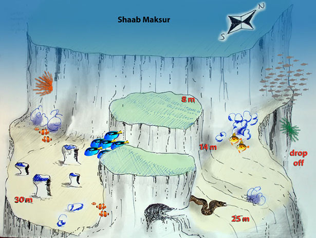 Diving at Shaab Maksour