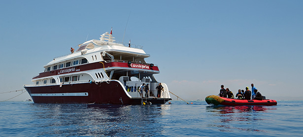 Live-abord dive boat Red Sea