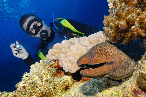 scuba diver uw photo