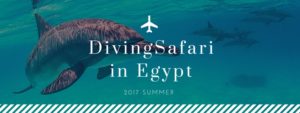 scuba diving holiday in Egypt Red Sea