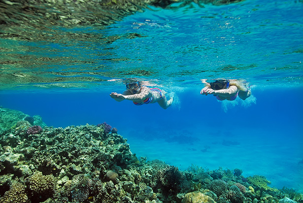 Family Holiday in the Red Sea