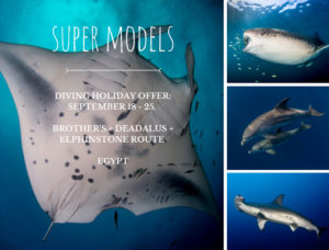 Super models of the Red Sea