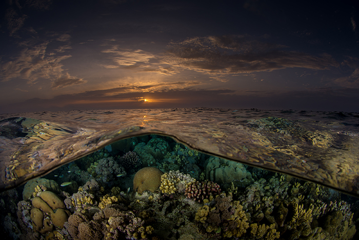 Scuba diving liveaboard in Sudan