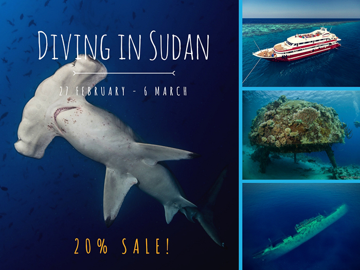 Scuba diving liveaboard in Sudan