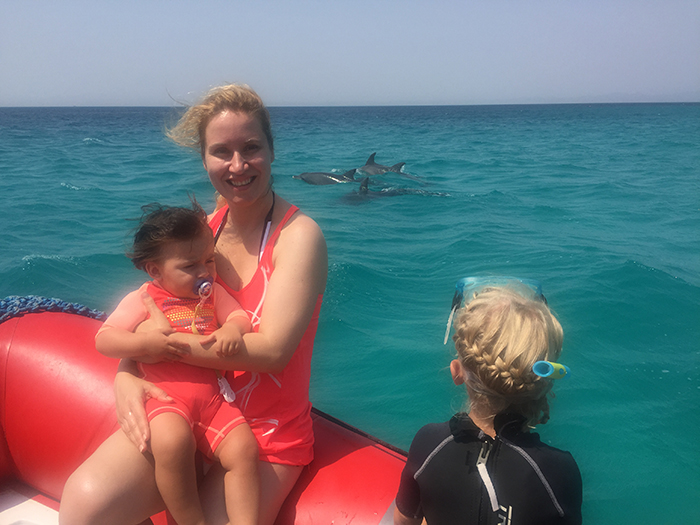 Swimming with dolphins