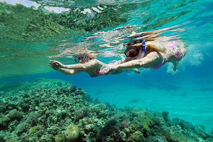 Snorkelling in Egypt with dolphins