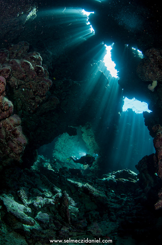 The Claudia Reef – Diving at Fury Shoal in Egypt | Red Sea Diving ...